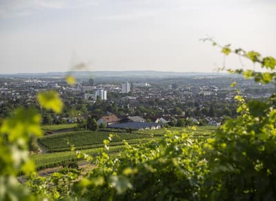 Großzügige 2,5-Zimmer Wohnung mit schöner Loggia zu vermieten! — Bild 19